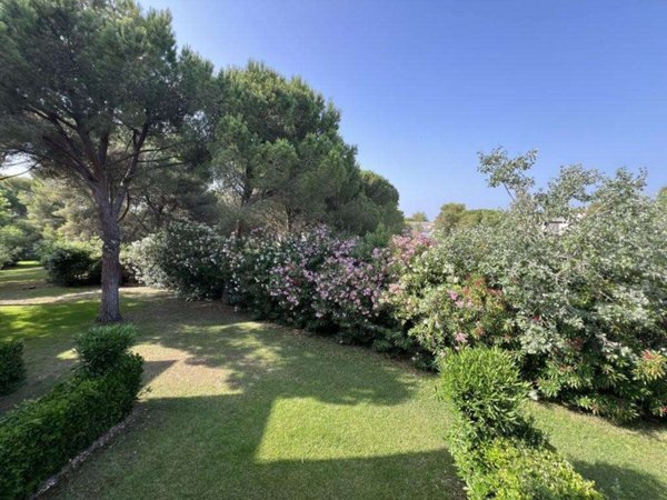 appartamento in vendita a Bibbona