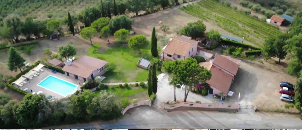 appartamento in vendita a Bibbona