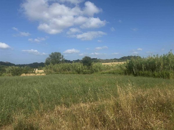 terreno agricolo in vendita a Bibbona