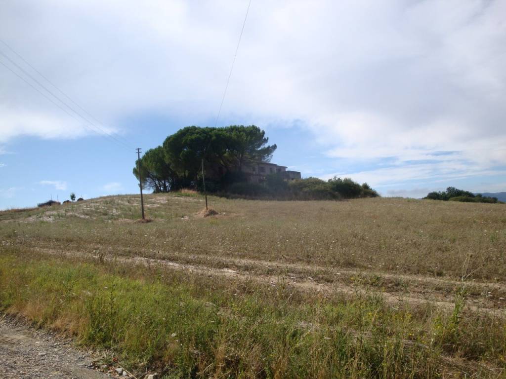 casa indipendente in vendita a Bibbona