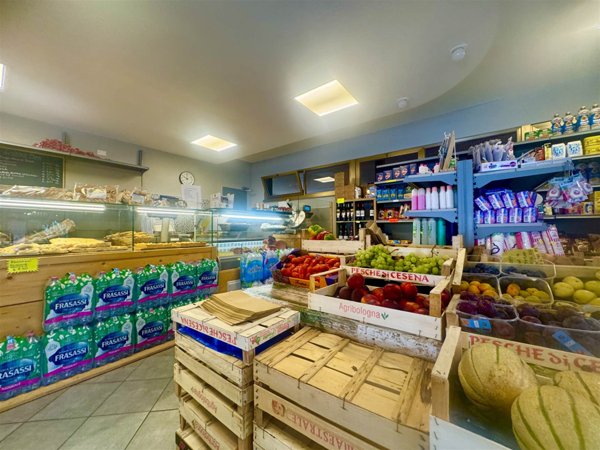 negozio in vendita a Bibbona in zona Marina di Bibbona