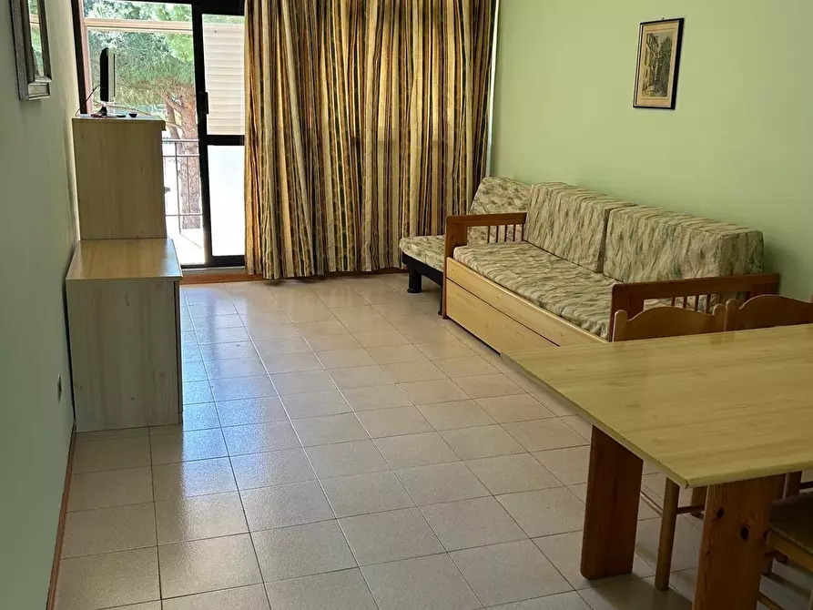 appartamento in vendita a Bibbona in zona Marina di Bibbona