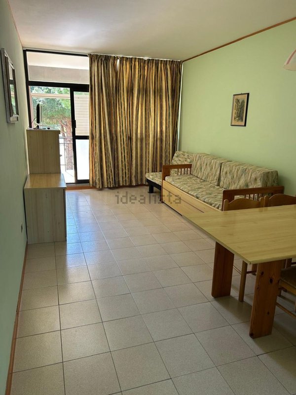 appartamento in vendita a Bibbona in zona Marina di Bibbona