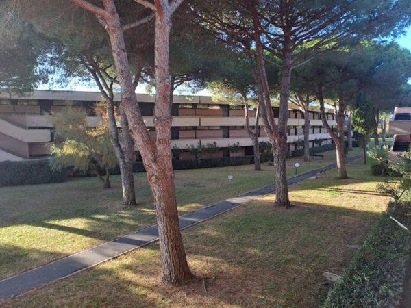 appartamento in vendita a Bibbona in zona Marina di Bibbona