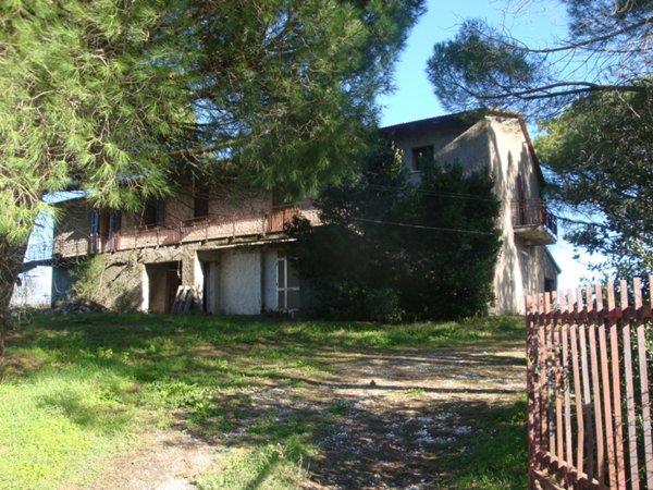 appartamento in vendita a Bibbona