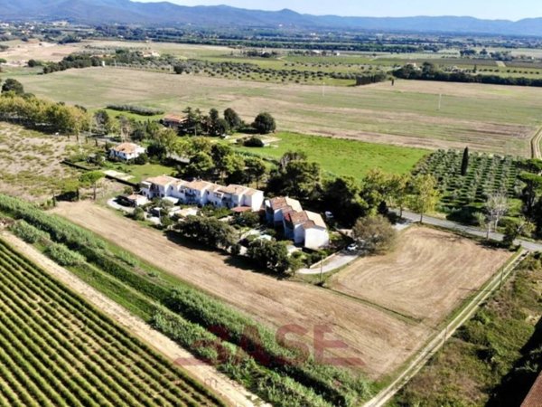 terreno agricolo in vendita a Bibbona in zona La California