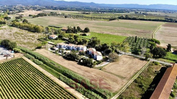 terreno agricolo in vendita a Bibbona in zona La California