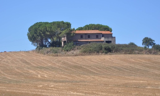 appartamento in vendita a Bibbona