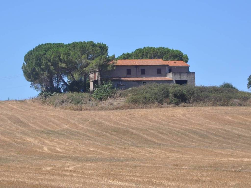 casa indipendente in vendita a Bibbona