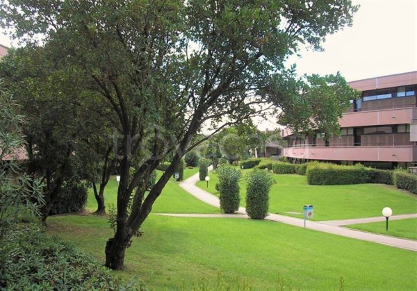 appartamento in vendita a Bibbona in zona Marina di Bibbona