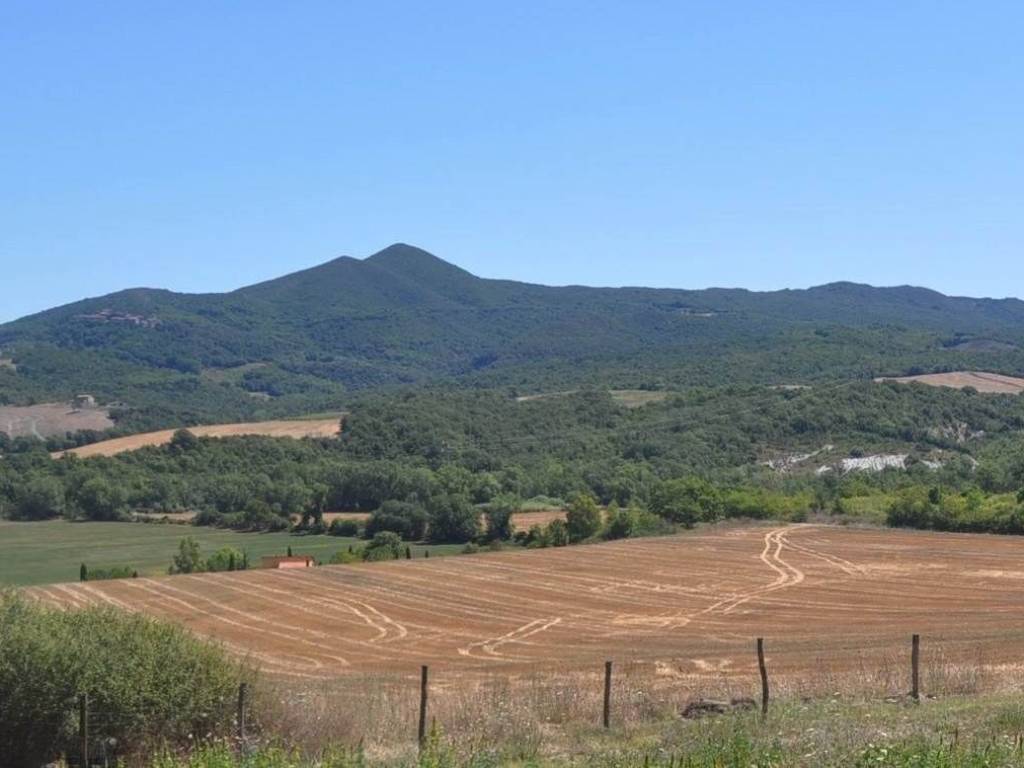 terreno agricolo in vendita a Bibbona