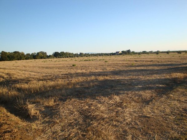 appartamento in vendita a Bibbona in zona La California