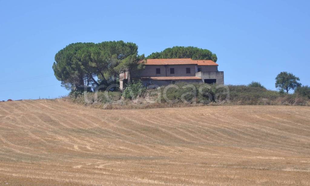 casa indipendente in vendita a Bibbona