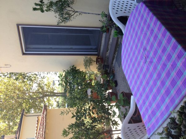 appartamento in vendita a Bibbona in zona La California