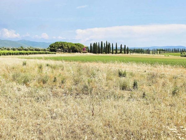 casa indipendente in vendita a Bibbona