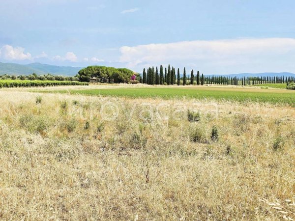 casa indipendente in vendita a Bibbona