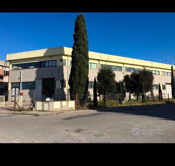 locale commerciale in vendita a Bibbona
