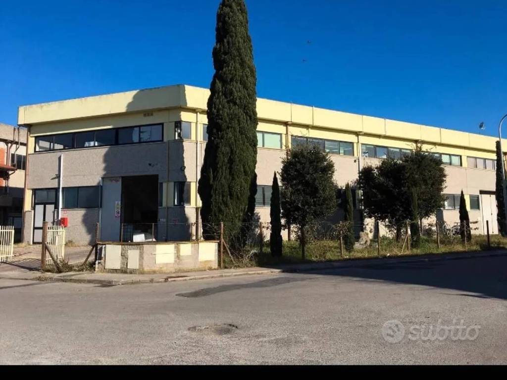 locale commerciale in vendita a Bibbona