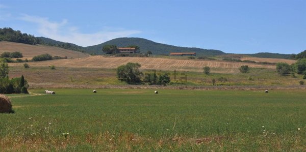 casa indipendente in vendita a Bibbona