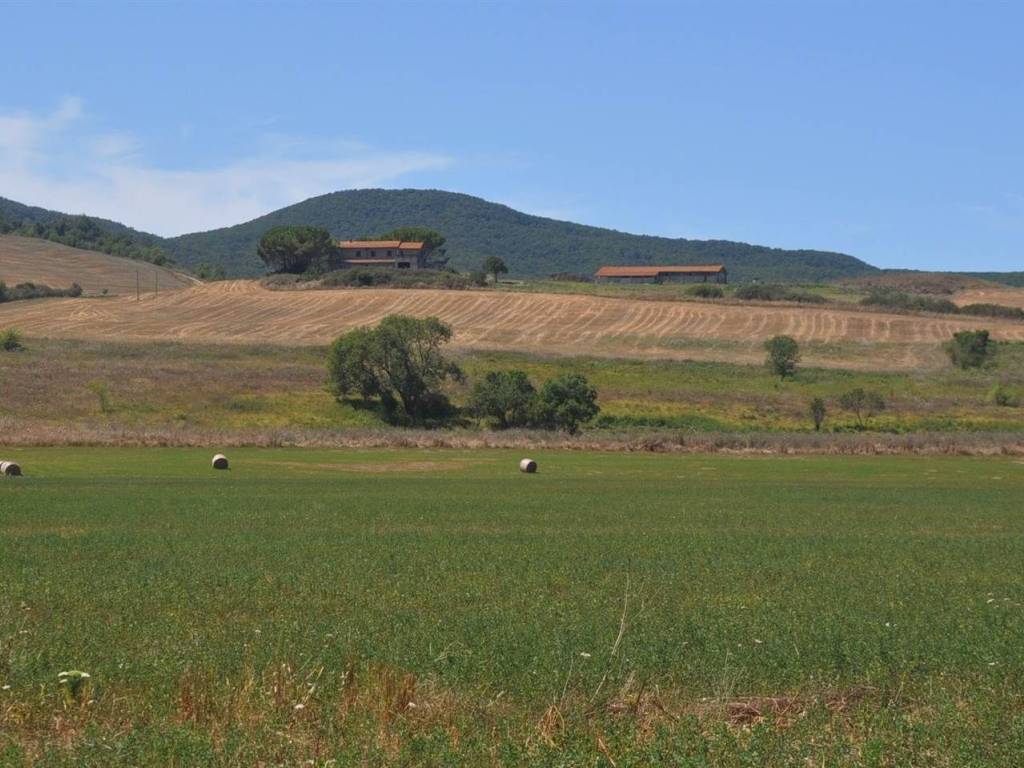casa indipendente in vendita a Bibbona