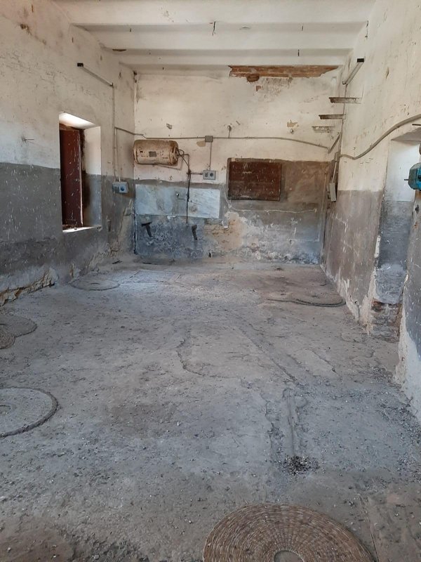 appartamento in vendita a Bibbona