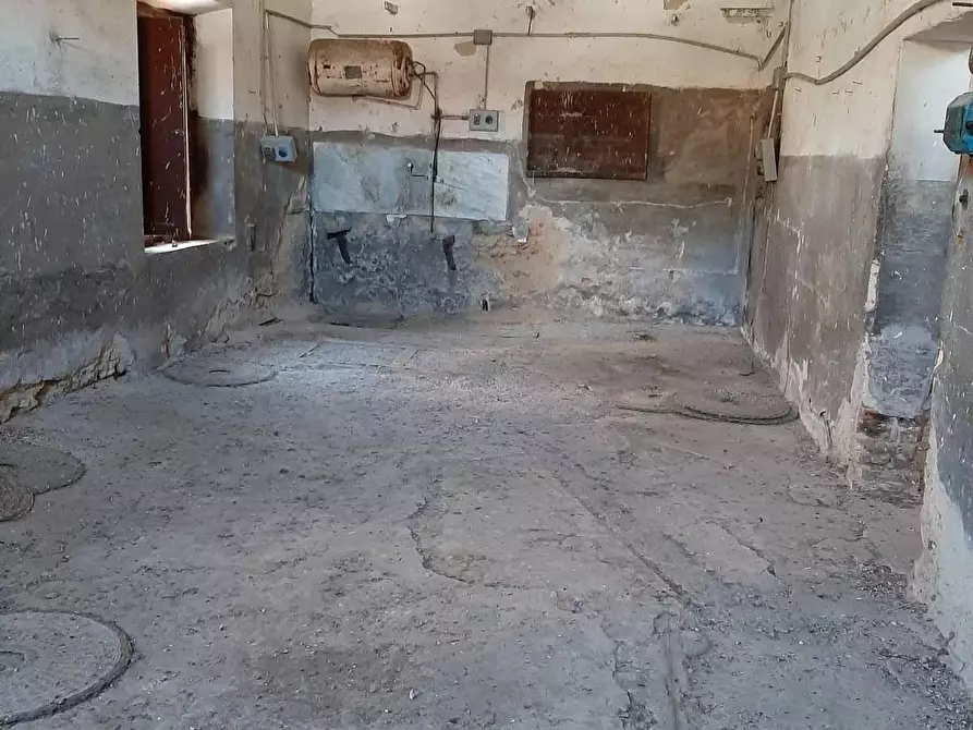 appartamento in vendita a Bibbona