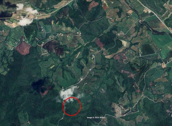 terreno agricolo in vendita a Bibbona