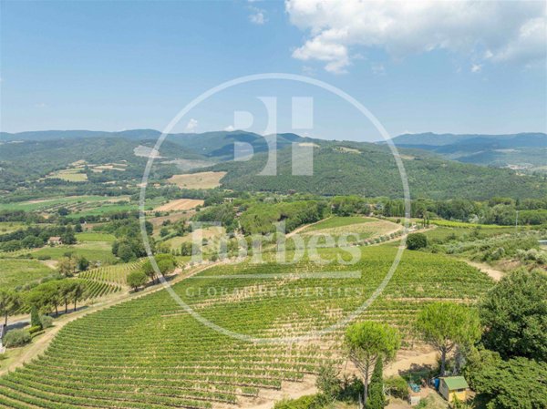 azienda agricola in vendita a Bibbona