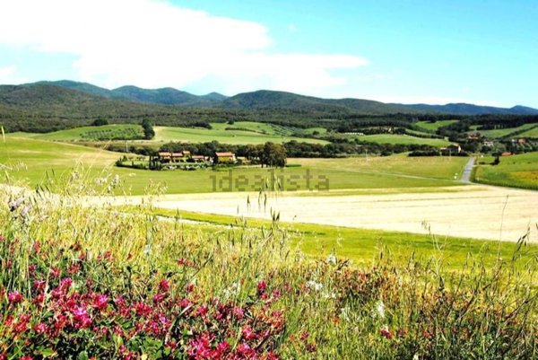 casa indipendente in vendita a Bibbona in zona Marina di Bibbona