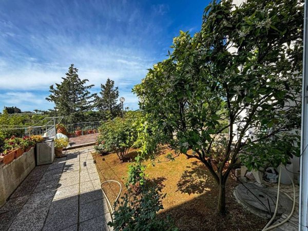 appartamento in vendita a Bibbona