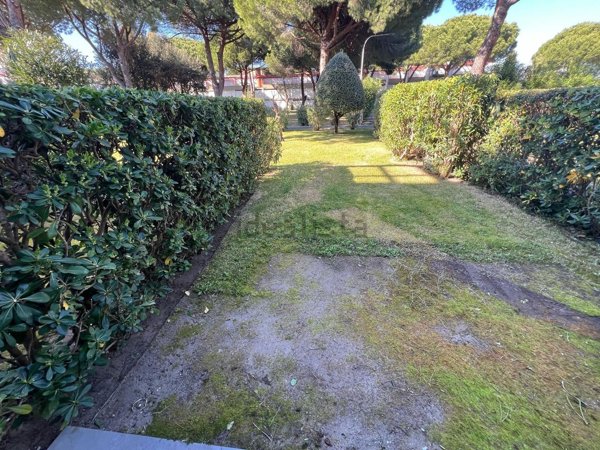 appartamento in vendita a Bibbona in zona Marina di Bibbona