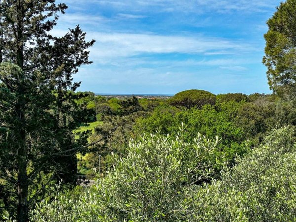 appartamento in vendita a Bibbona in zona Marina di Bibbona