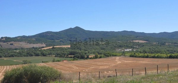 terreno agricolo in vendita a Bibbona