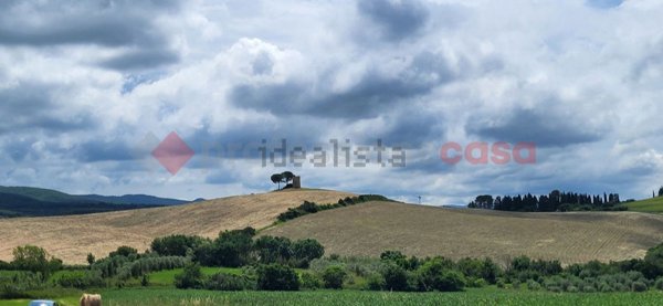 casa indipendente in vendita a Bibbona in zona Marina di Bibbona