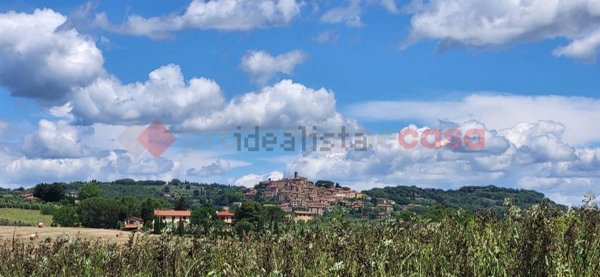 terreno agricolo in vendita a Bibbona