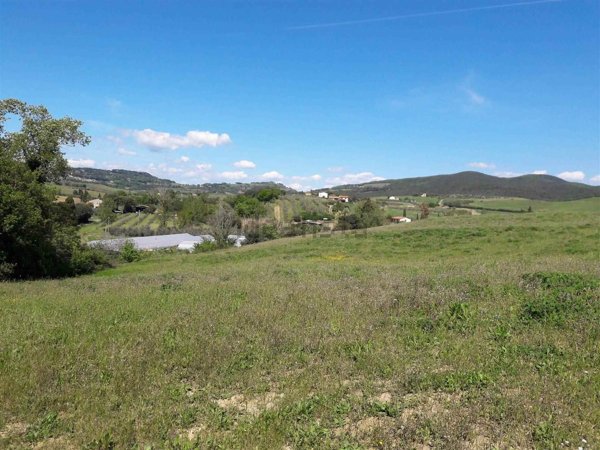 terreno agricolo in vendita a Bibbona