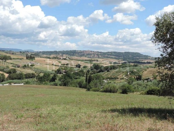 terreno agricolo in vendita a Bibbona