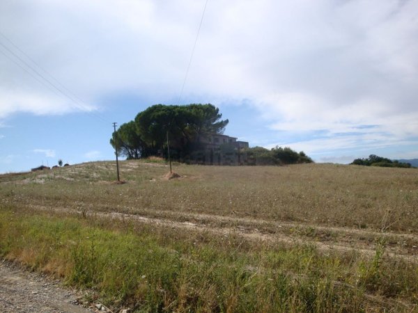 appartamento in vendita a Bibbona