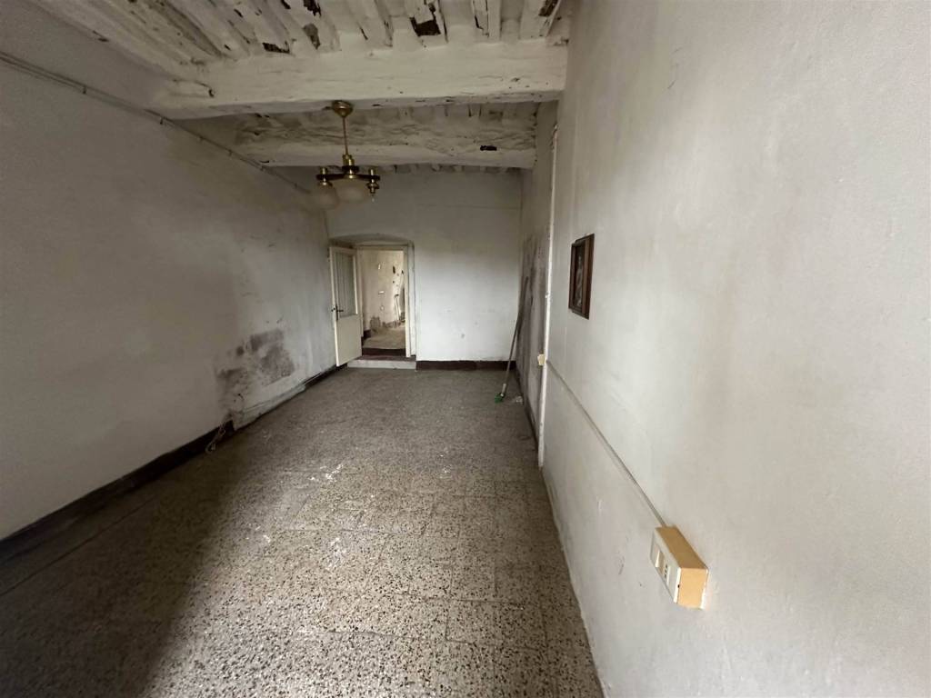 appartamento in vendita a Bibbona