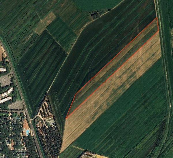 terreno agricolo in vendita a Bibbona in zona Marina di Bibbona