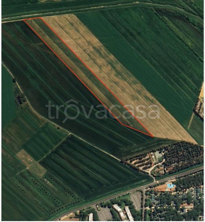 terreno agricolo in vendita a Bibbona