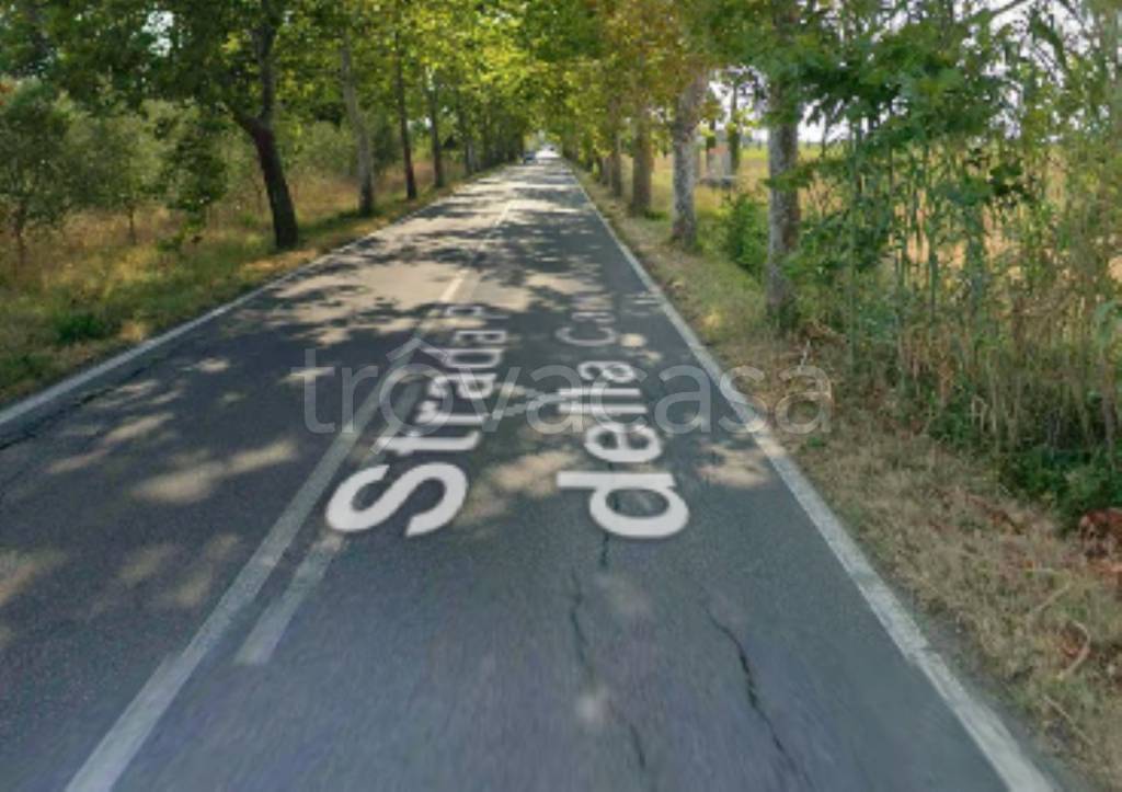 locale di sgombero in vendita a Bibbona