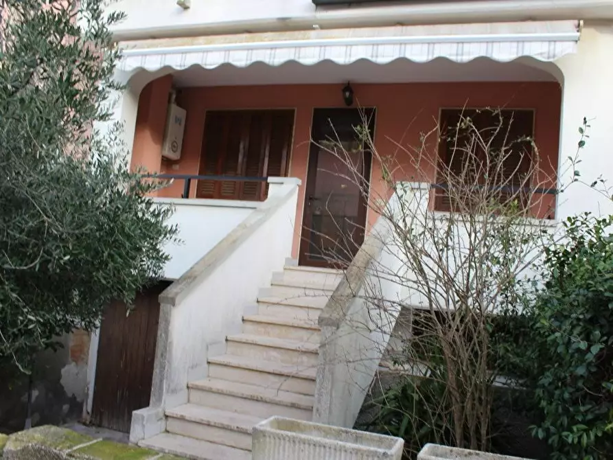 appartamento in vendita a Bibbona in zona Marina di Bibbona