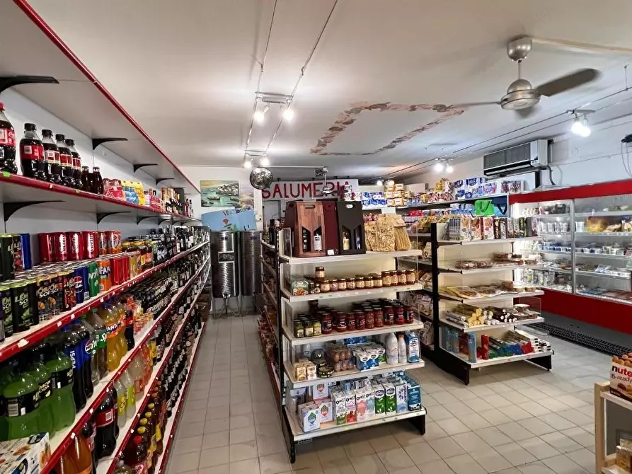 negozio in vendita a Bibbona in zona Marina di Bibbona