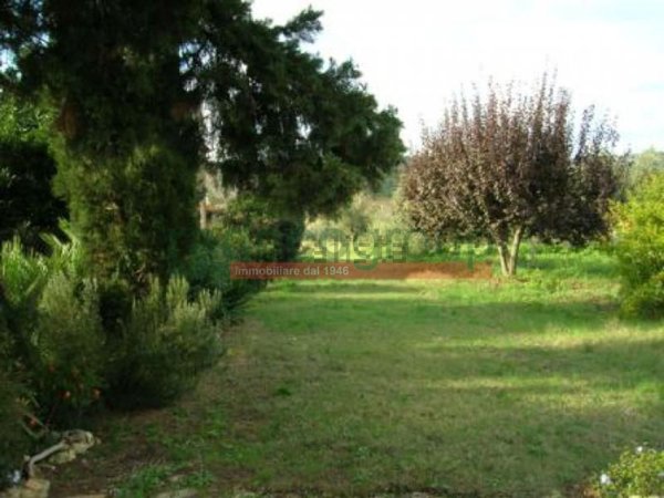 appartamento in vendita a Bibbona