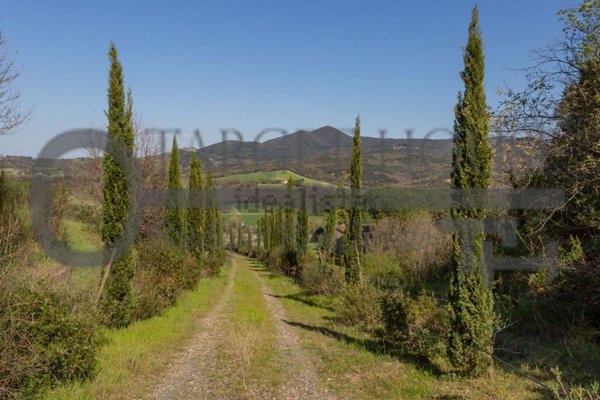 casa indipendente in vendita a Bibbona