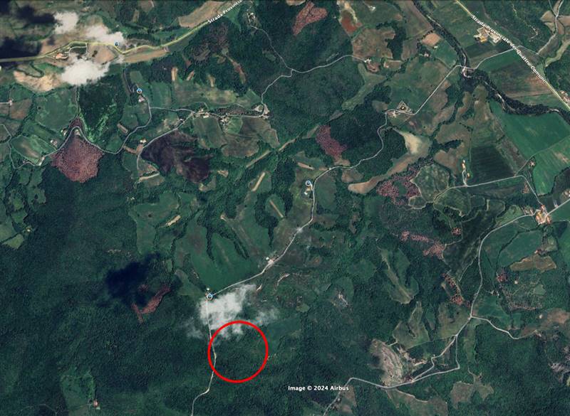 terreno agricolo in vendita a Bibbona