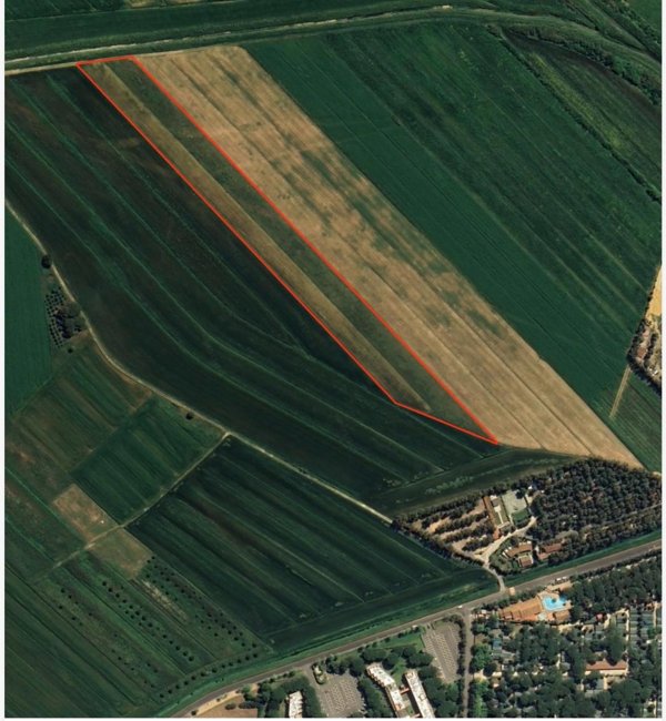 terreno agricolo in vendita a Bibbona in zona Marina di Bibbona