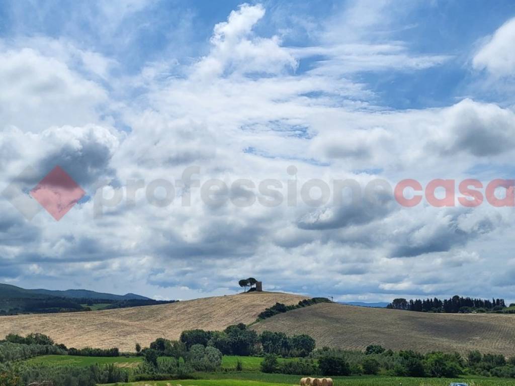 casa indipendente in vendita a Bibbona