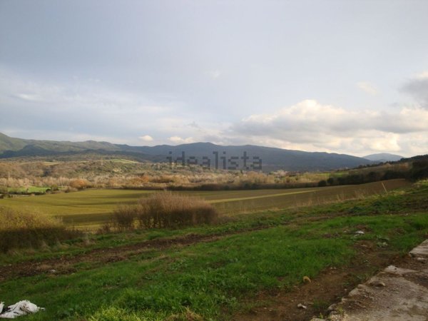 appartamento in vendita a Bibbona